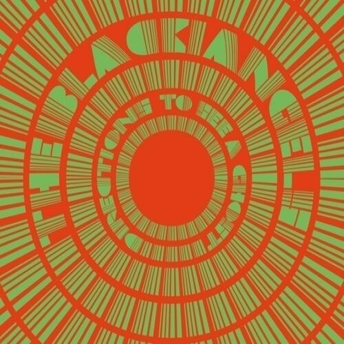 The Black Angels: Directions To See A Ghost { Vinyl LP }