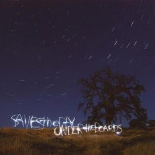 Saves the Day: Under the Boards { Vinyl LP }