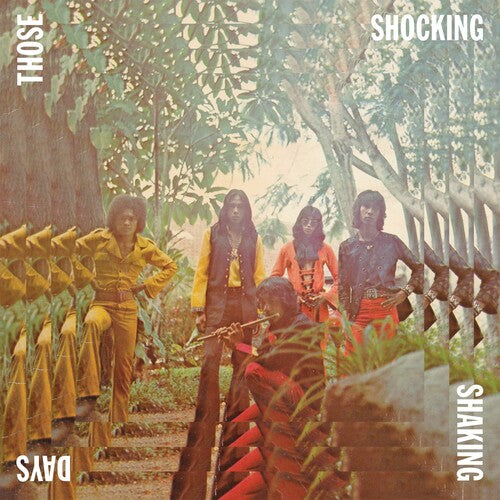 Various Artists: Those Shocking Shaking Days { Vinyl LP }