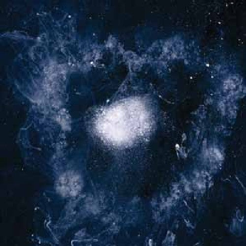 Swans: My Father Will Guide Me Up a Rope to the Sky { Vinyl LP }