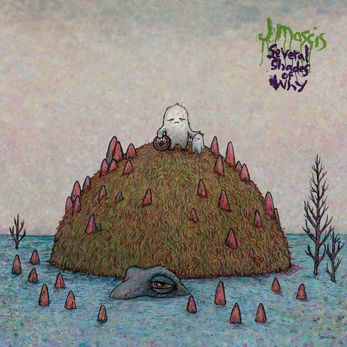J Mascis: Several Shades of Why { Vinyl LP }