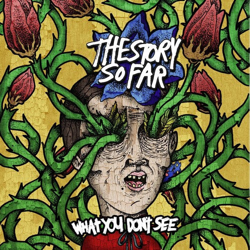 The Story So Far: What You Don't See { Vinyl LP }