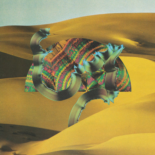 Django Django: Django Django { Vinyl LP }