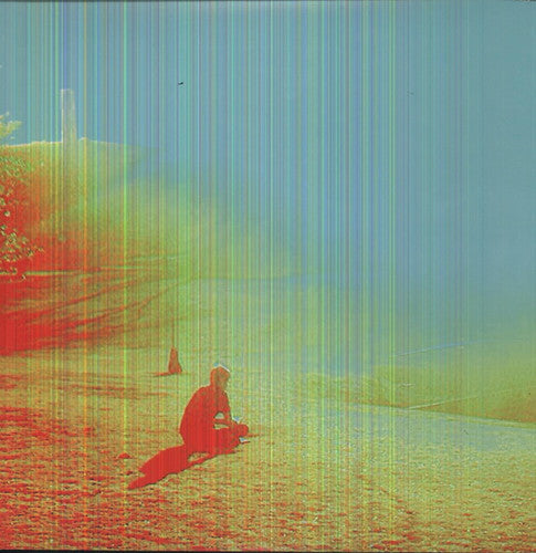 The Flaming Lips: The Terror { Vinyl LP }