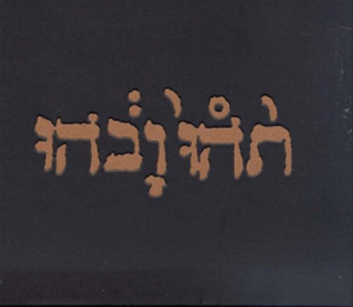Godspeed You! Black Emperor: Slow Riot for New Zero Kanada { Vinyl LP }