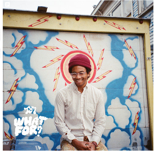 Toro y Moi: What for { Vinyl LP }