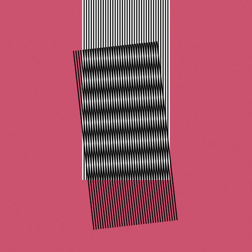 Hot Chip: Why Make Sense { Vinyl LP }