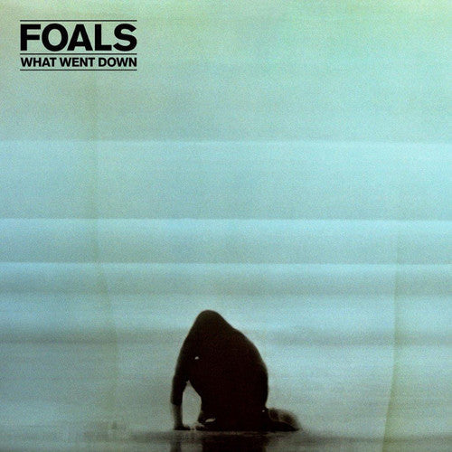 Foals: What Went Down { Vinyl LP }