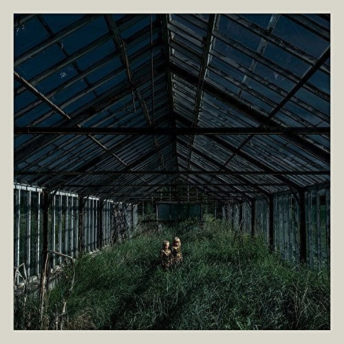 Foxing: Dealer { Vinyl LP }