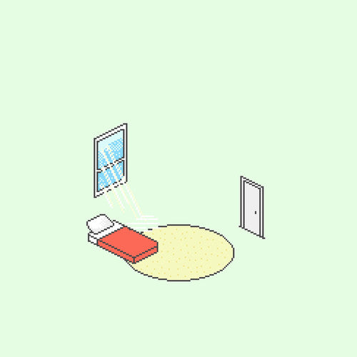 Florist: The Birds Outside Sang { Vinyl LP }