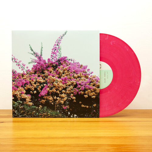 Jay Som: Turn Into { Vinyl LP }
