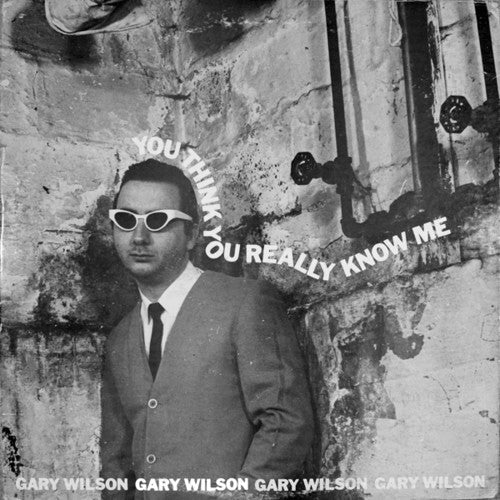 Gary Wilson: You Think You Really Know Me { Vinyl LP }