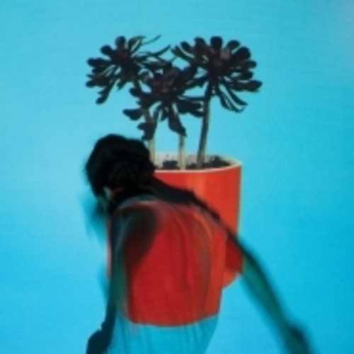 Local Natives: Sunlit Youth { Vinyl LP }