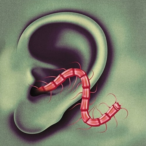 Thee Oh Sees: An Odd Entrances { Vinyl LP }