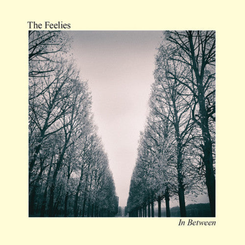 The Feelies: In Between { Vinyl LP }