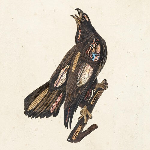 Clutch: Book Of Bad Decisions { Vinyl LP }