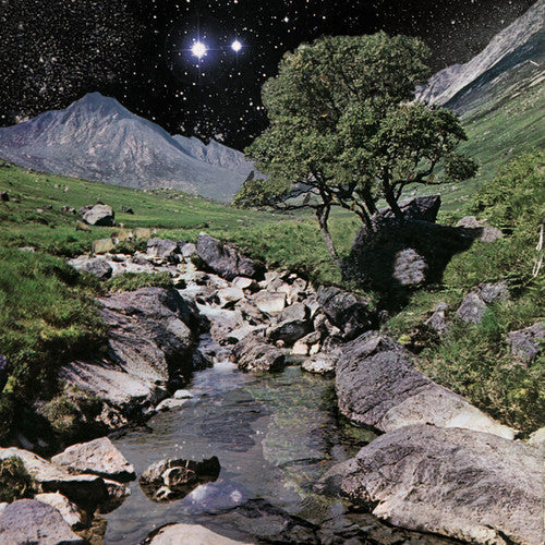 The Beta Band: The Beta Band { Vinyl LP }