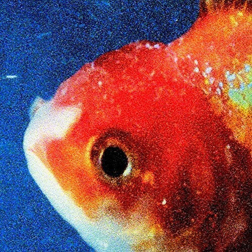 Vince Staples: Big Fish Theory { Vinyl LP }