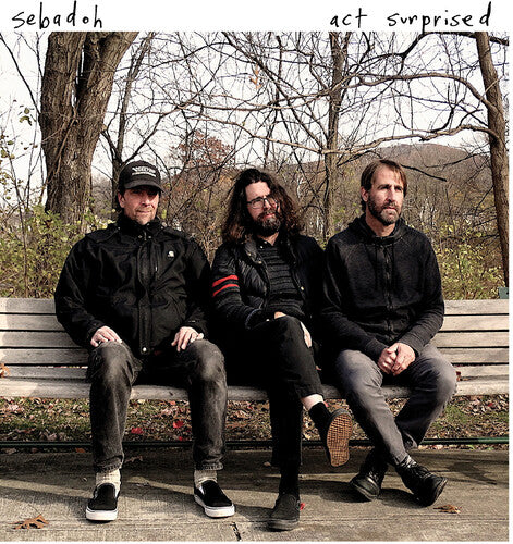 Sebadoh: Act Surprised { Vinyl LP }