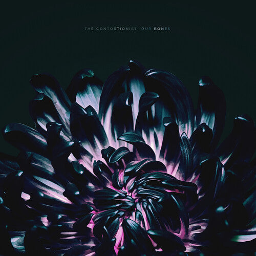 The Contortionist: Our Bones { Vinyl LP }
