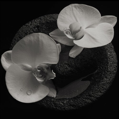 Mike Patton: Corpse Flower { Vinyl LP }