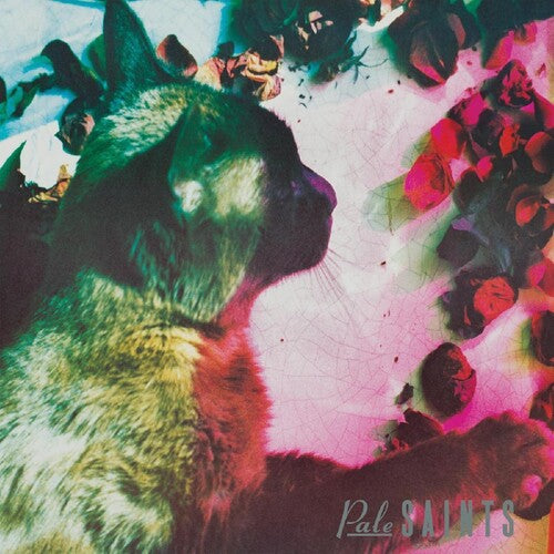 Pale Saints: Comforts Of Madness { Vinyl LP }