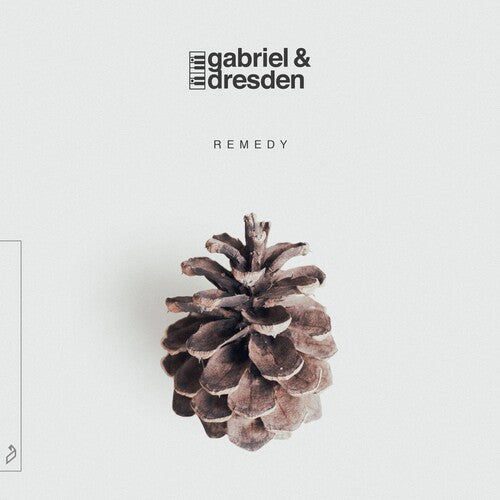 Gabriel & Dresden: Remedy { Vinyl LP }