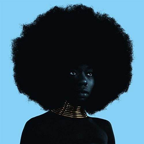 Sudan Archives: Sink { Vinyl LP }