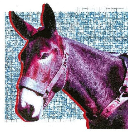 Protomartyr: Ultimate Success Today { Vinyl LP }