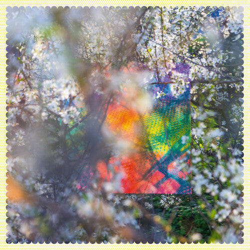 Four Tet: Sixteen Oceans { Vinyl LP }