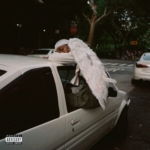 Blood Orange: Negro Swan { Vinyl LP }
