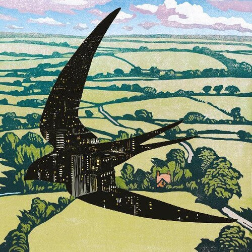 Bibio: Sleep On The Wing { Vinyl LP }