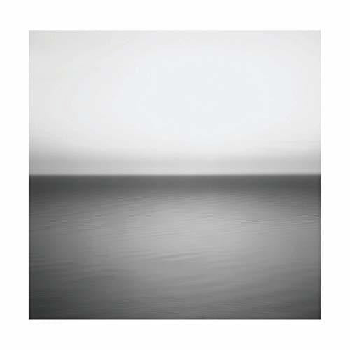 U2: No Line On The Horizon { Vinyl LP }