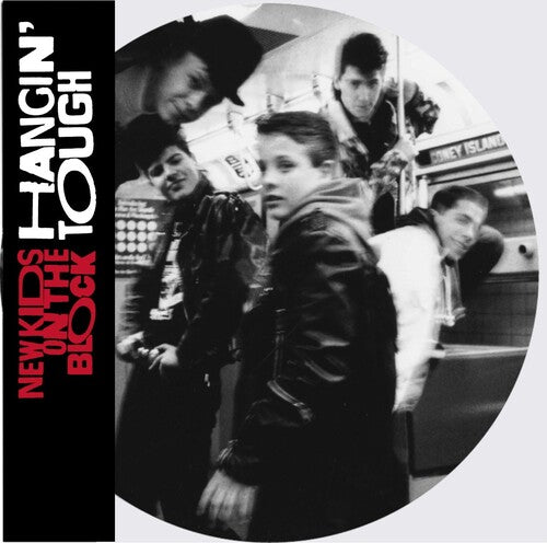 New Kids on the Block / Nkotb: Hangin' Tough (Ltd Picture Disc) { Vinyl LP }