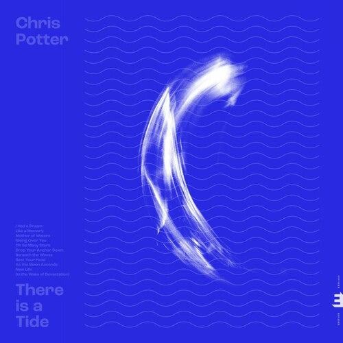 Potter, Chris: There Is A Tide { Vinyl LP }