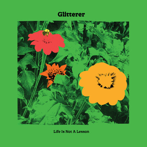 Glitterer: Life Is Not A Lesson { Vinyl LP }