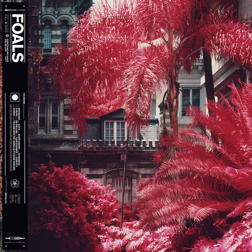 Foals: Everything Not Saved Will Be Lost (part 1) { Vinyl LP }