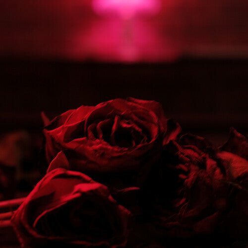 The Paper Kites: Roses { Vinyl LP }