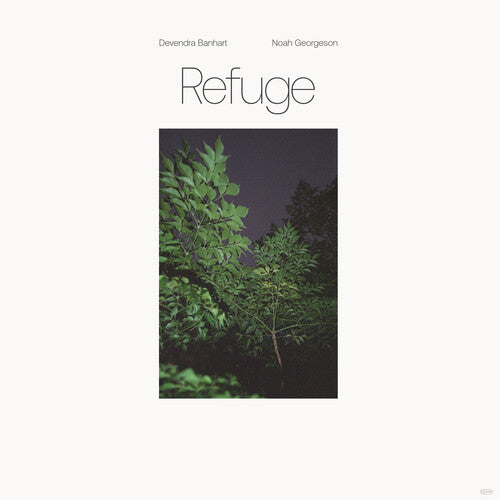 Devendra Banhart: Refuge (Blue Seaglass Wave Translucent Vinyl) { Vinyl LP }