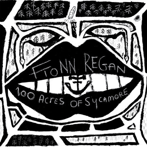 Fionn Regan: 100 Acres Of Sycamore { Vinyl LP }
