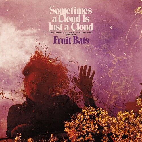 Fruit Bats: Sometimes a Cloud Is Just a Cloud: Slow Growers, Sleeper Hits and Lost Songs (2001–2021) { Vinyl LP }