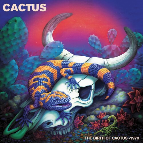 Cactus: The Birth Of Cactus - 1970 { Vinyl LP }