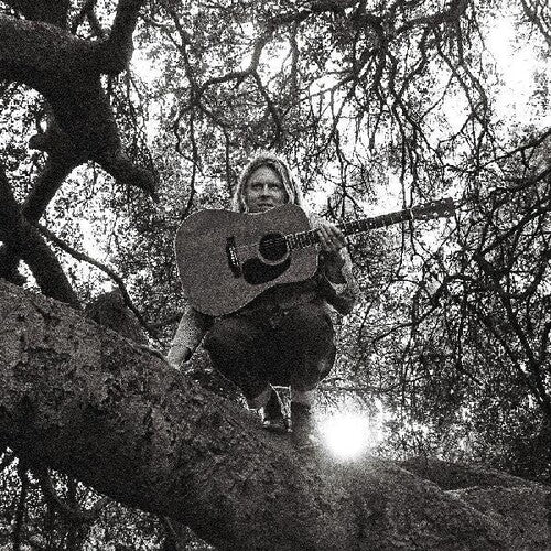 Ty Segall: Hello Hi { Vinyl LP }