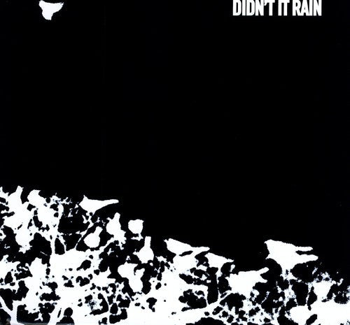 Songs: Ohia: Didn't It Rain { Vinyl LP }