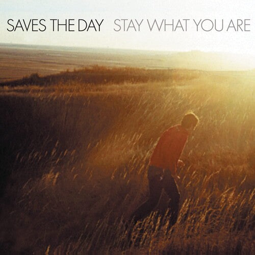 Saves the Day: Stay What You Are { Vinyl LP }