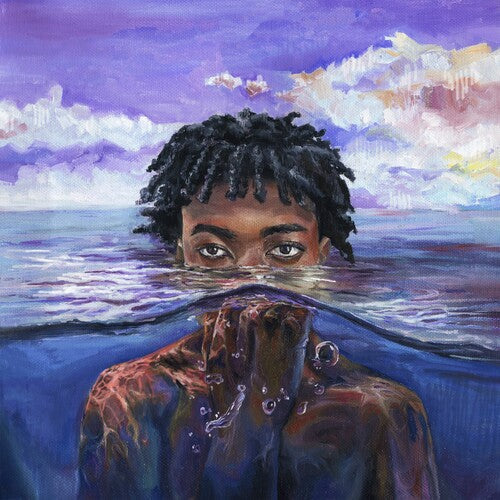 Redveil: LEARN 2 SWIM { Vinyl LP }