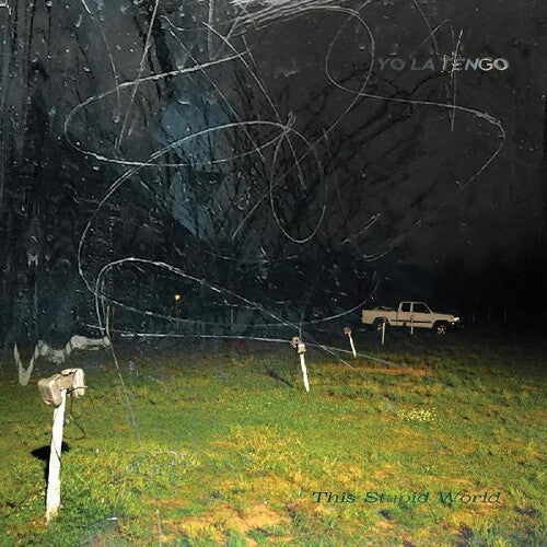 Yo La Tengo: This Stupid World { Vinyl LP }
