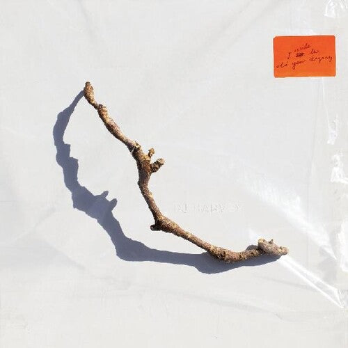 PJ Harvey: I Inside The Old Year Dying { Vinyl LP }