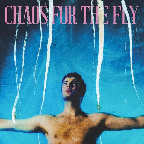 Grian Chatten: Chaos For The Fly { Vinyl LP }