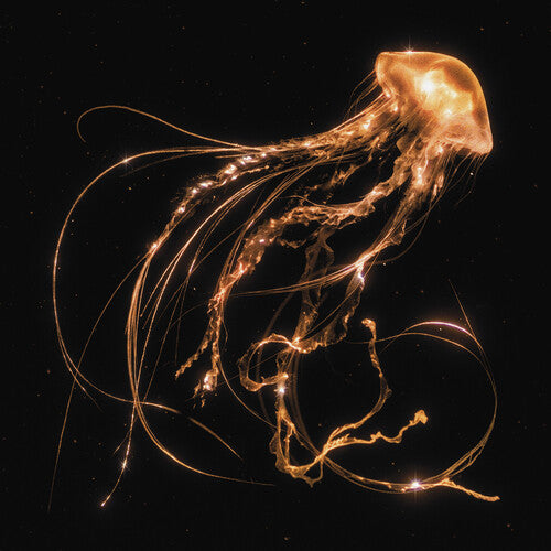 Royal Blood: Back To The Water Below { Vinyl LP }